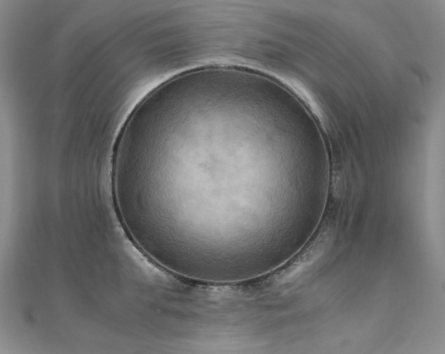 X0000111010903200906191609
