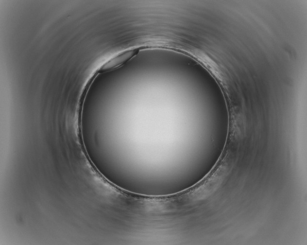 X0000111010904200906191609