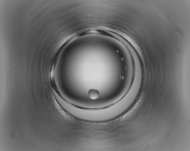 X0000111010905200906191609