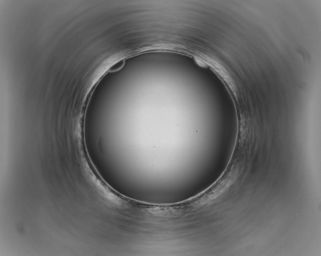 X0000111010906200906191609