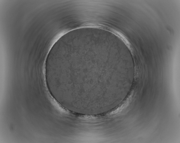 X0000111010907200906191609