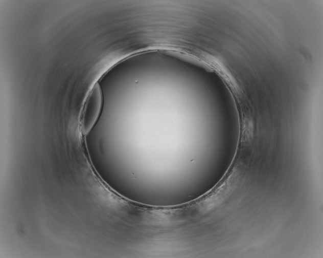 X0000111010908200906191609