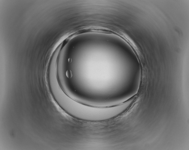 X0000111010909200906191609