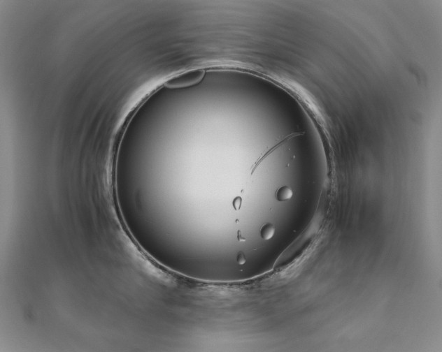 X0000111010910200906191609