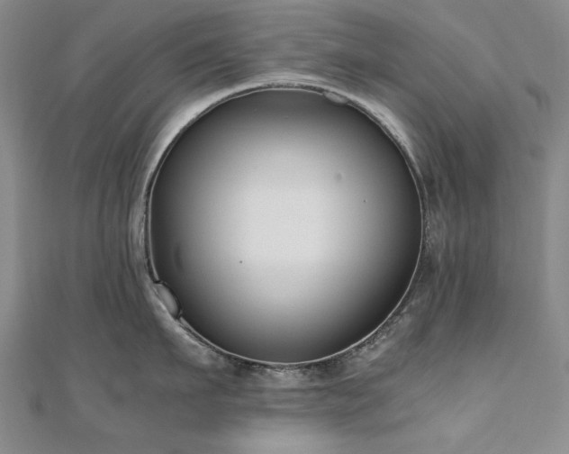 X0000111010911200906191609
