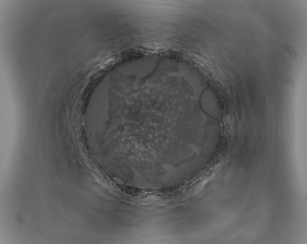 X0000111010913200906191609
