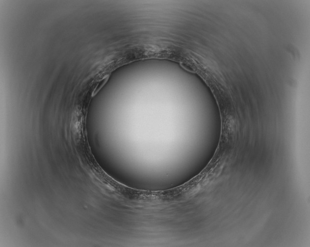 X0000111010914200906191609