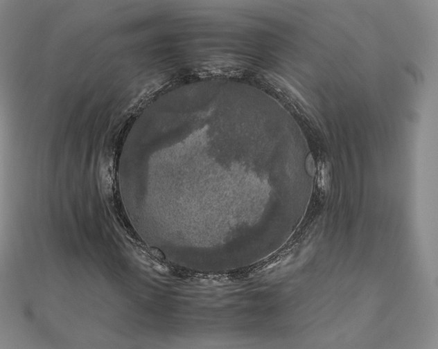 X0000111010915200906191609
