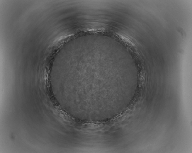 X0000111010917200906191609