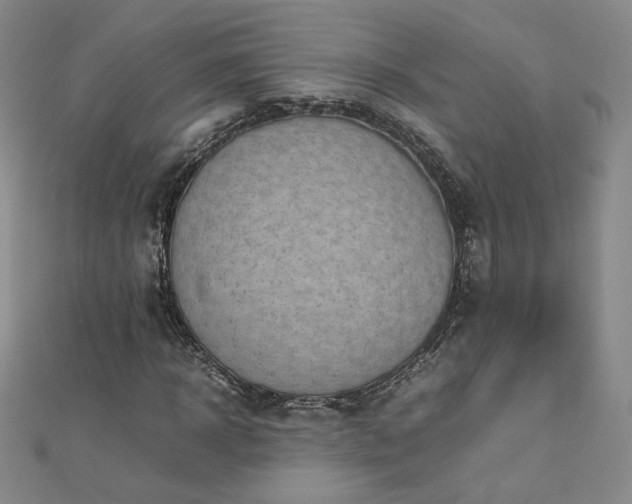X0000111010918200906191609