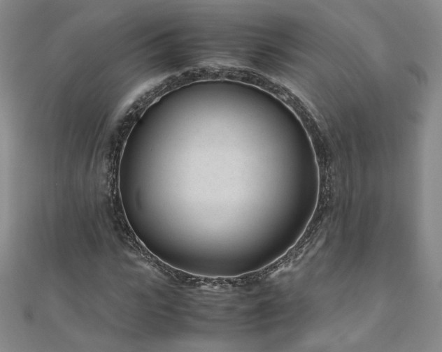 X0000111010919200906191609