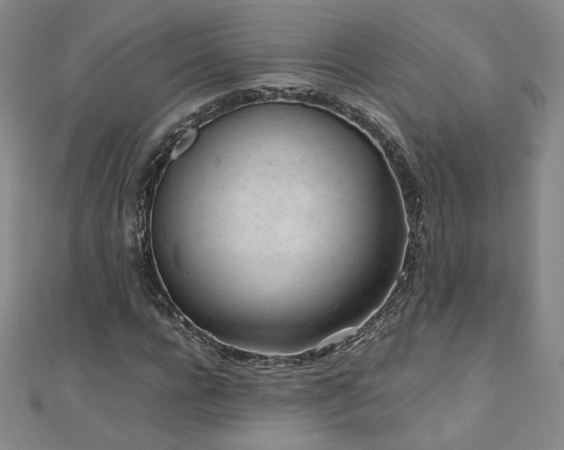 X0000111010920200906191609