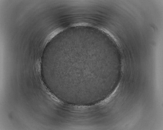 X0000111010921200906191609
