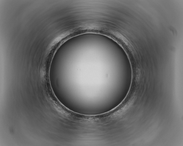 X0000111010922200906191609