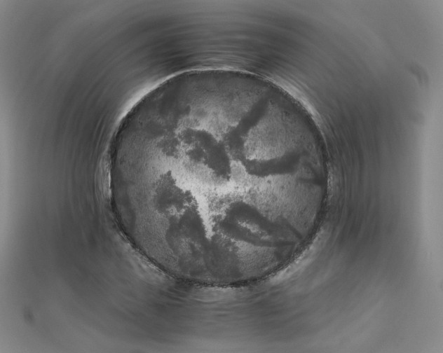 X0000111010925200906191609