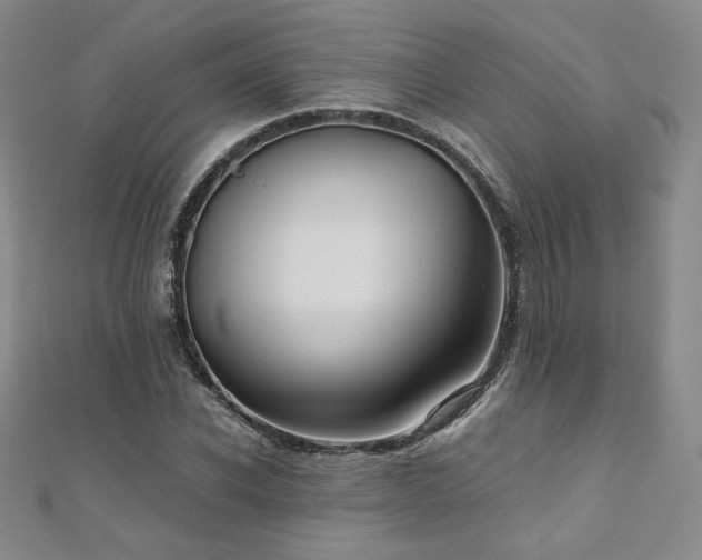 X0000111010926200906191609