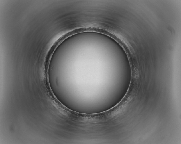 X0000111010927200906191609