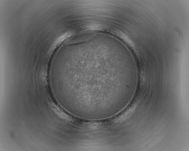 X0000111010930200906191609
