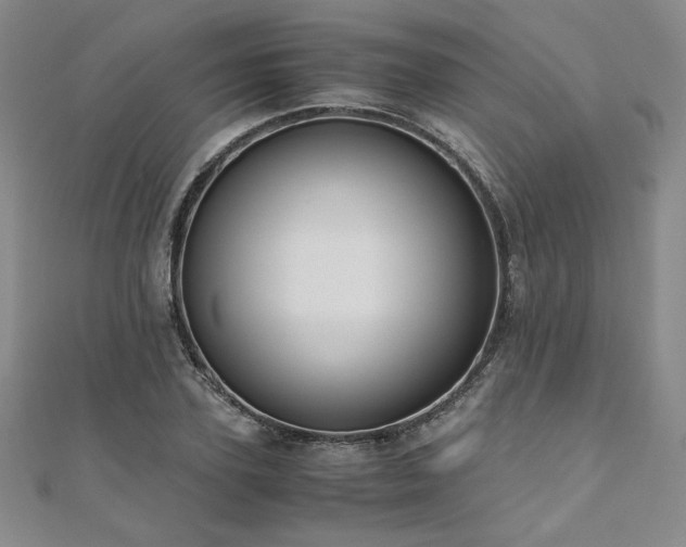 X0000111010931200906191609