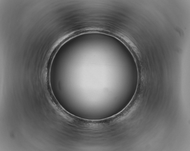 X0000111010933200906191609