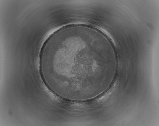 X0000111010935200906191609