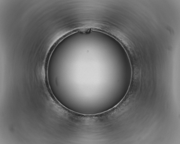 X0000111010936200906191609