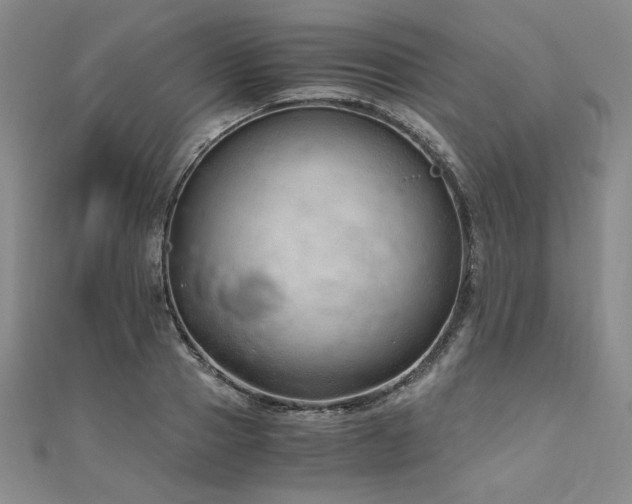 X0000111010937200906191609