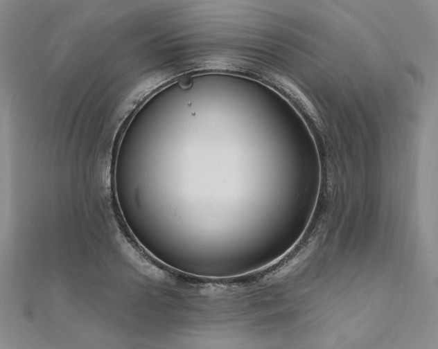 X0000111010938200906191609