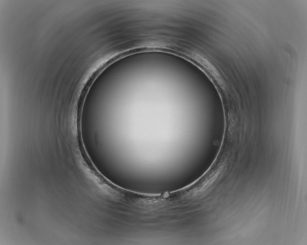 X0000111010939200906191609