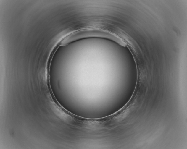 X0000111010940200906191609