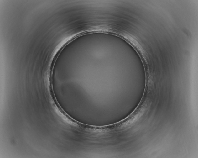 X0000111010941200906191609