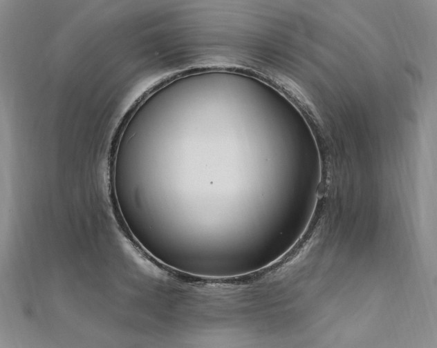 X0000111010942200906191609