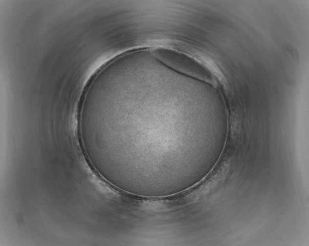 X0000111010944200906191609