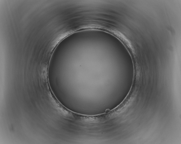 X0000111010945200906191609
