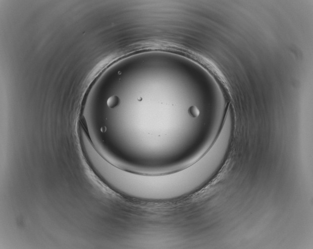 X0000111010946200906191609