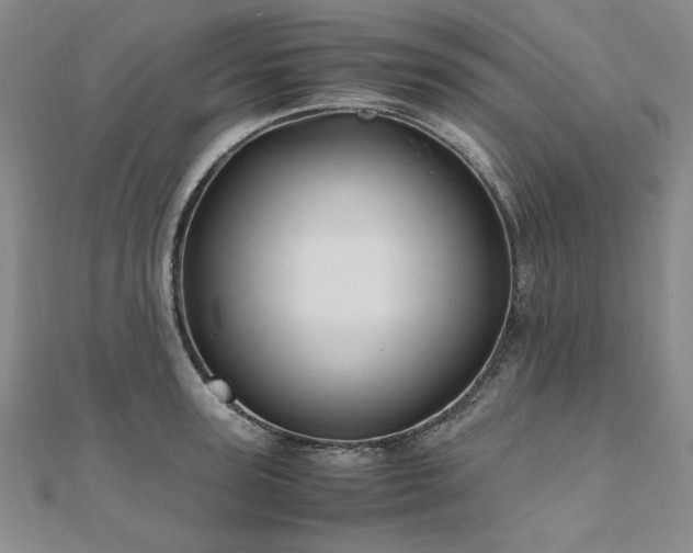 X0000111010947200906191609