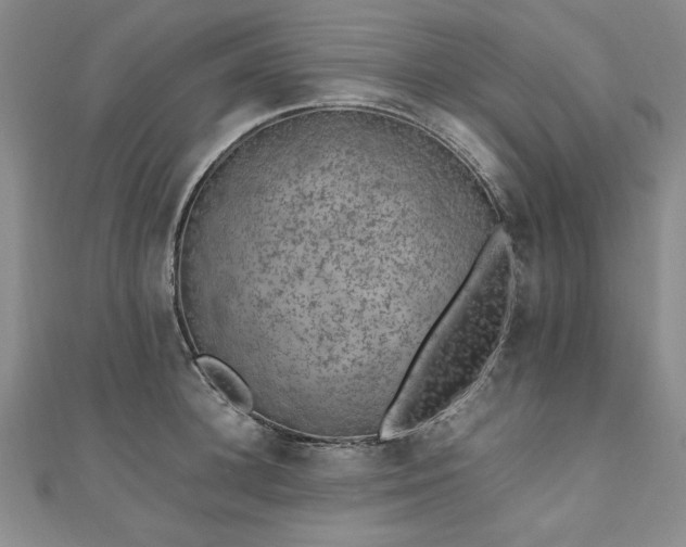 X0000111010948200906191609