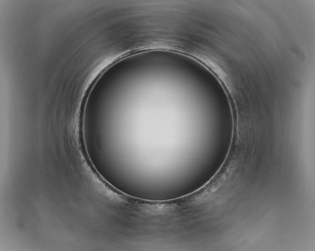X0000111010949200906191609