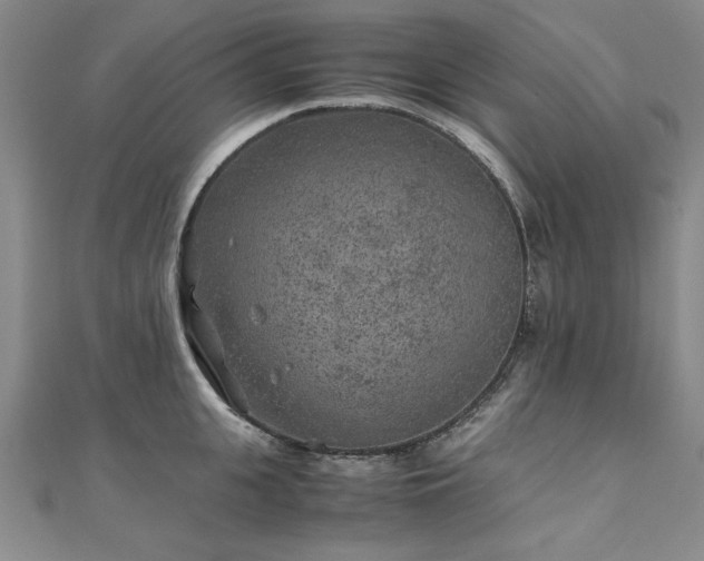 X0000111010951200906191609