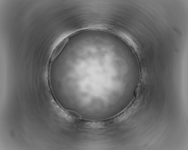 X0000111010952200906191609