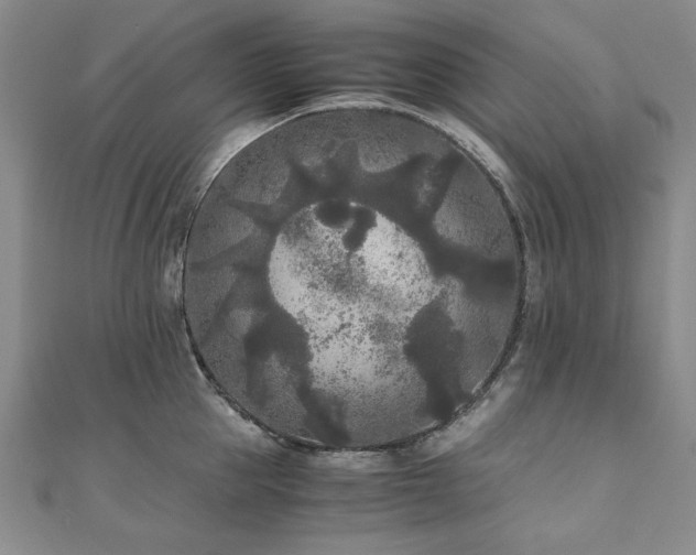 X0000111010953200906191609