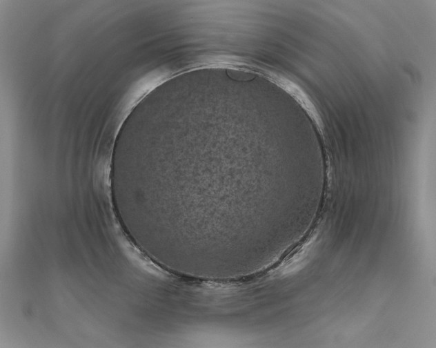 X0000111010954200906191609