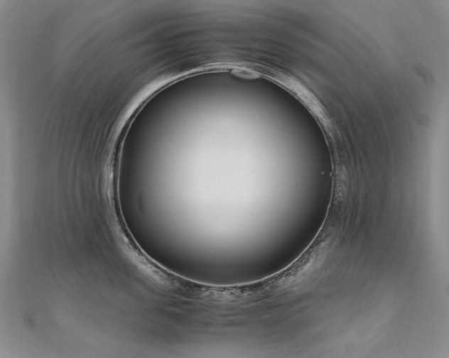 X0000111010955200906191609