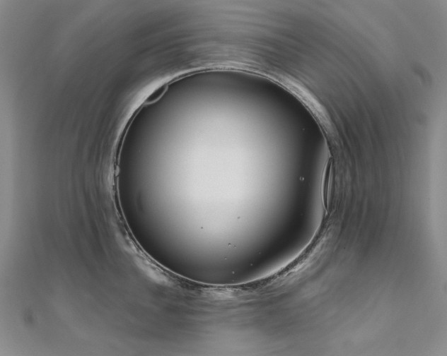 X0000111010956200906191609