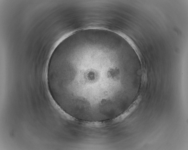 X0000111010957200906191609