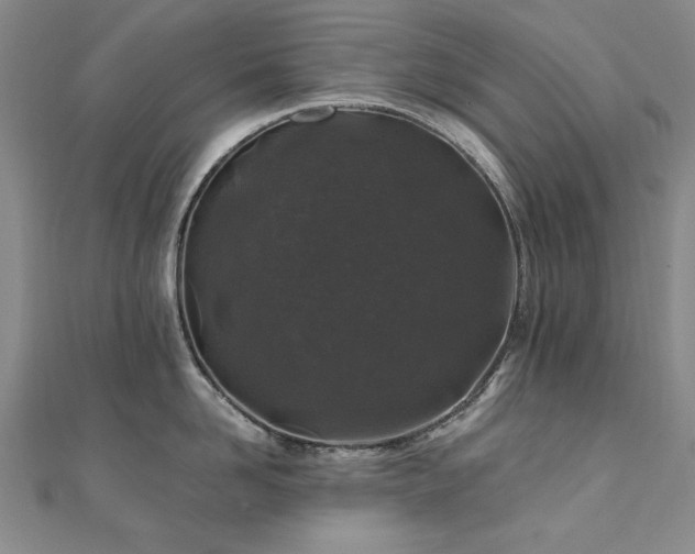 X0000111010958200906191609