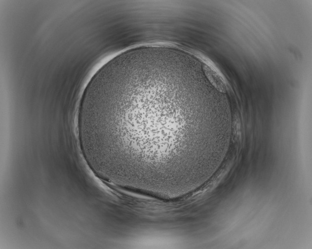X0000111010959200906191609
