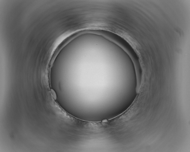 X0000111010960200906191609