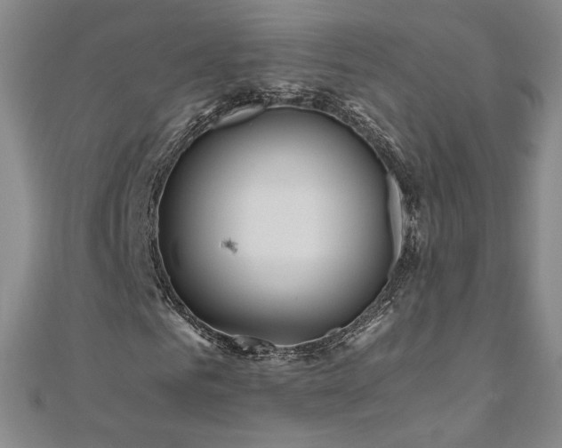 X0000111010961200906191608
