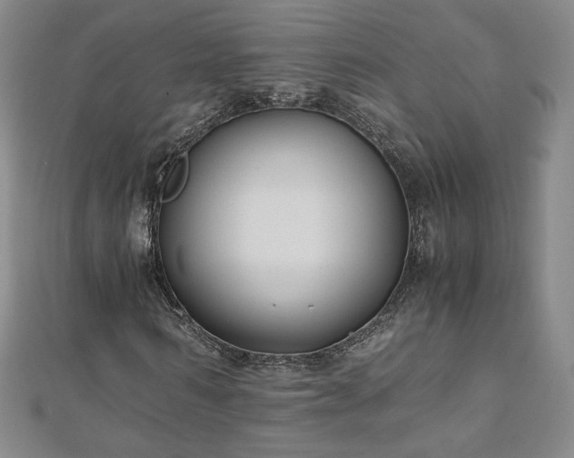 X0000111010962200906191608